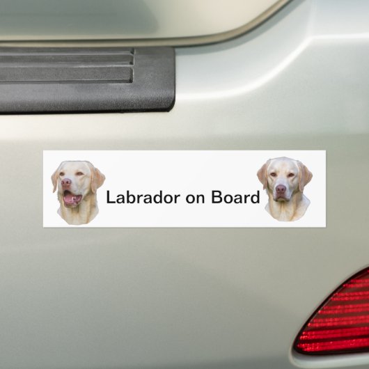 labrador bumper sticker (Op auto)