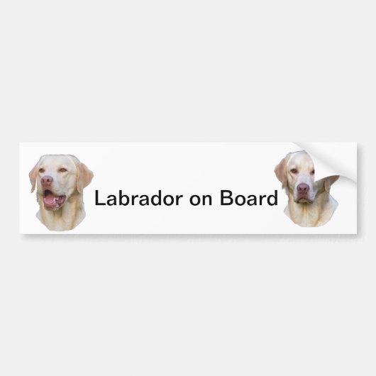 labrador bumper sticker (Voorkant)