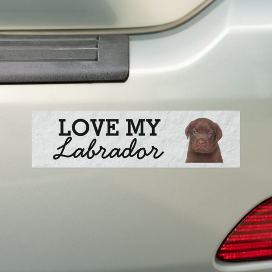 Labrador bumper sticker (Op auto)