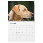 Labrador Calender Kalender (Mar 2026)