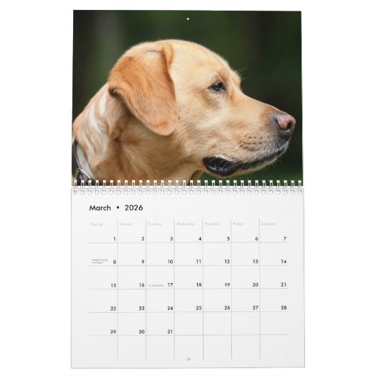 Labrador Calender Kalender (Mar 2026)