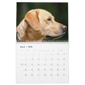 Labrador Calender Kalender