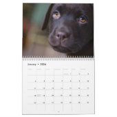 Labrador Calender Kalender (Jan 2026)