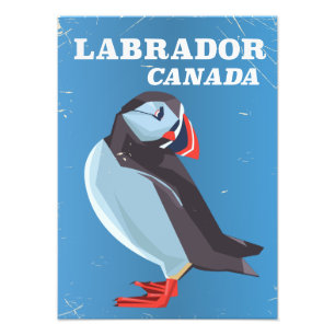 Labrador Canada Papegaaiduiker vintage reisposter Foto Afdruk