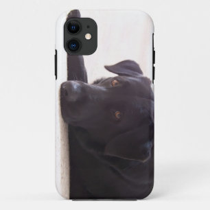 labrador Case-Mate iPhone case