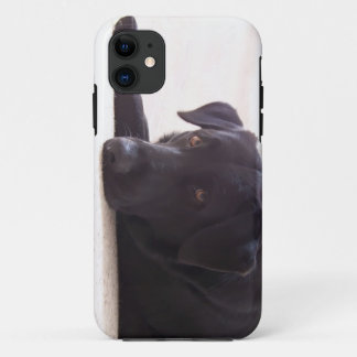 labrador Case-Mate iPhone case