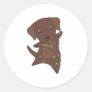 Labrador Christmas Snow Winter Animals Dogs Ronde Sticker