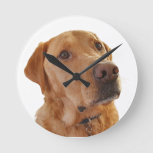 Labrador Clock Ronde Klok