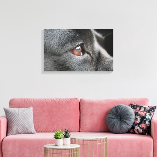 Labrador Close Up Canvas Afdruk (Insitu (Woonkamer))