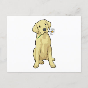 Labrador Daisy Briefkaart