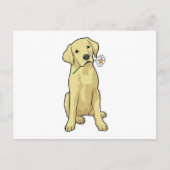 Labrador Daisy Briefkaart (Voorkant)