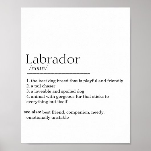 Labrador Definition Poster (Voorkant)