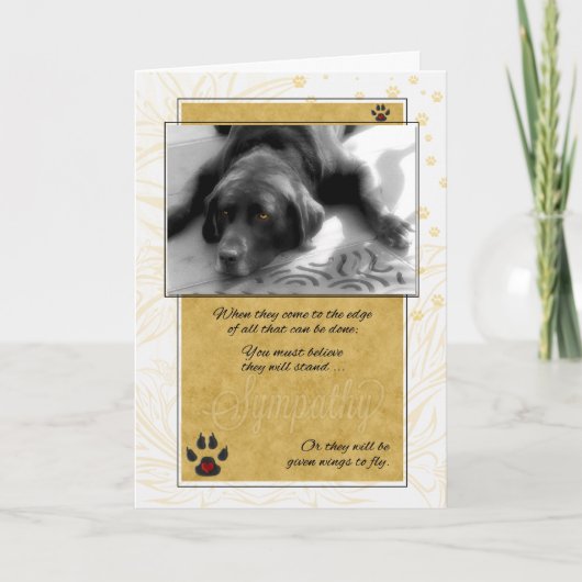Labrador Dog Black White met sympathie voor gele p Kaart (Voorkant)
