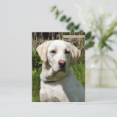 LABRADOR DOG BRIEFKAART (Staand voorkant)