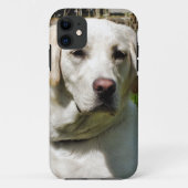 LABRADOR DOG Case-Mate iPhone CASE (Achterkant)