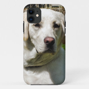 LABRADOR DOG Case-Mate iPhone CASE