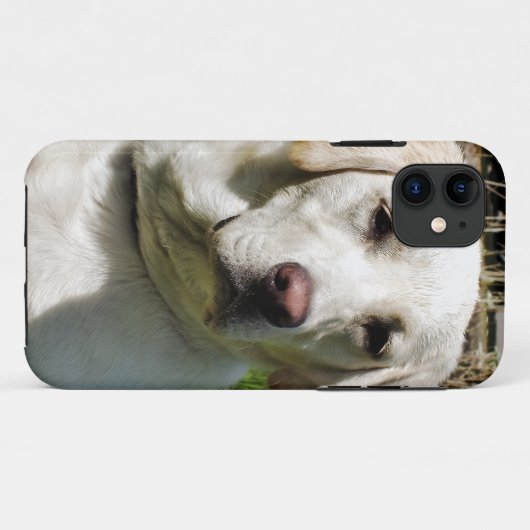 LABRADOR DOG Case-Mate iPhone CASE (Achterkant (horizontaal))