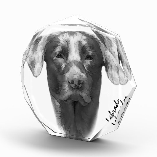 Labrador Dog cool Fotoblokken (Rechts)