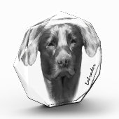 Labrador Dog cool Fotoblokken (Links)