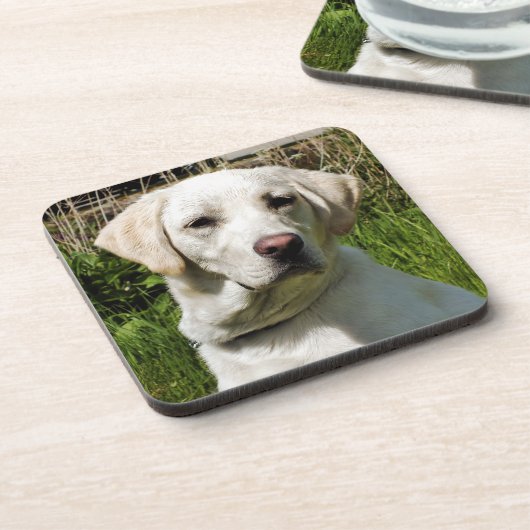 LABRADOR DOG DRANKJES ONDERZETTER (Linkerzijde)