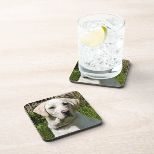 LABRADOR DOG DRANKJES ONDERZETTER (Rechterzijde)