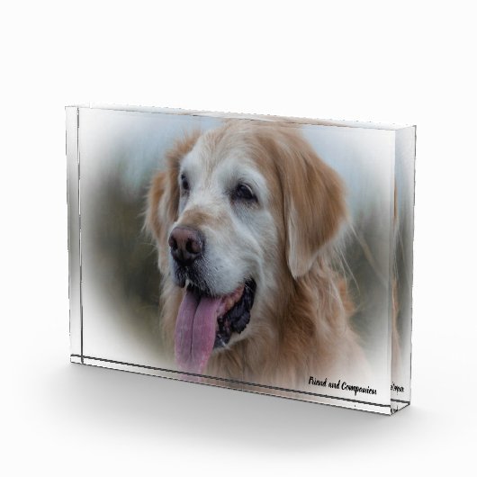 Labrador Dog. Fotoblokken (Rechts)