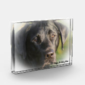Labrador Dog Fotoblokken (Links)