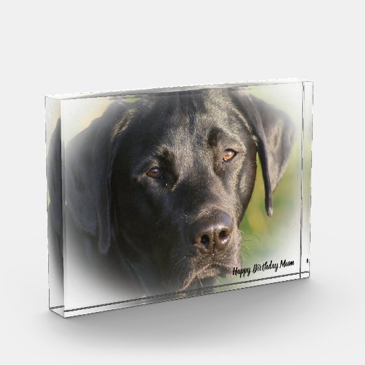 Labrador Dog Fotoblokken (Links)