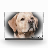 Labrador Dog Fotoblokken (Voorkant)