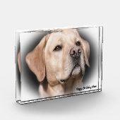 Labrador Dog Fotoblokken (Links)