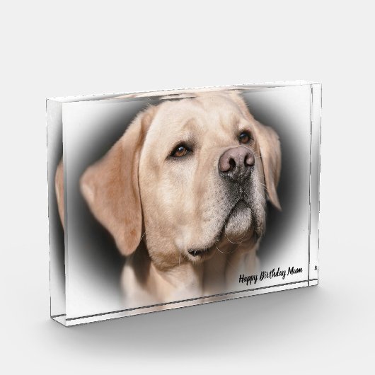 Labrador Dog Fotoblokken (Links)