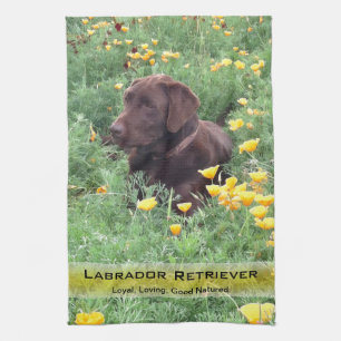 Labrador Dog in California Poppy Patch Photography Theedoek