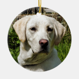 LABRADOR DOG KERAMISCH ORNAMENT