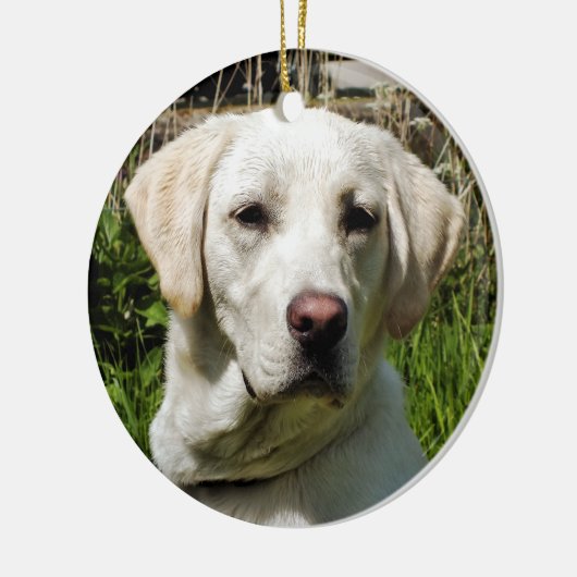 LABRADOR DOG KERAMISCH ORNAMENT (Links)