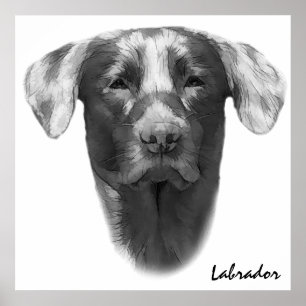 Labrador Dog klassiek Poster