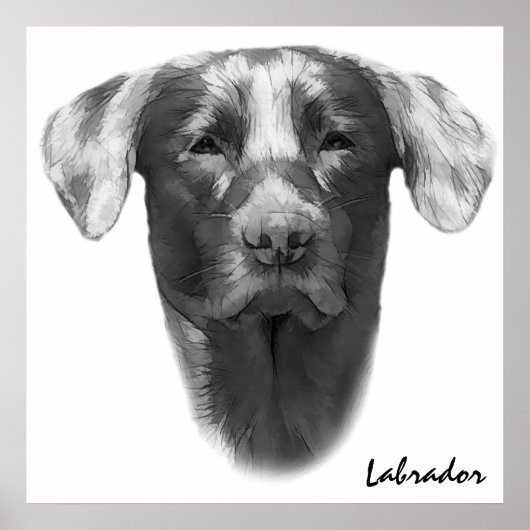 Labrador Dog klassiek Poster (Voorkant)
