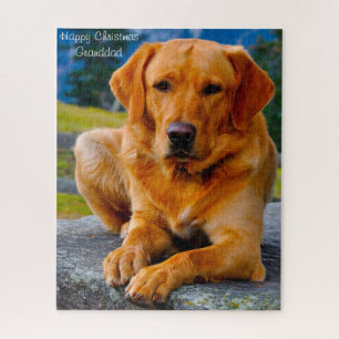 Labrador Dog. Legpuzzel