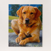 Labrador Dog. Legpuzzel (Verticaal)