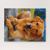 Labrador Dog. Legpuzzel (Horizontaal)