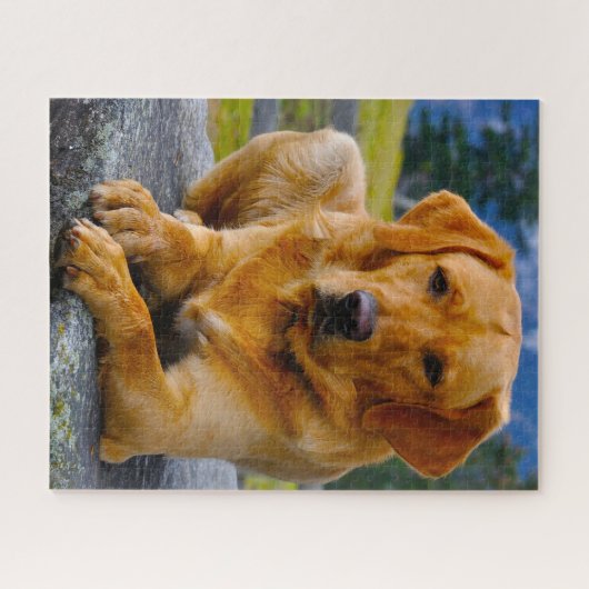 Labrador Dog. Legpuzzel (Horizontaal)