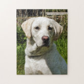 LABRADOR DOG LEGPUZZEL (Verticaal)