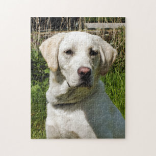 LABRADOR DOG LEGPUZZEL