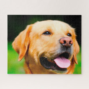 Labrador Dog. Legpuzzel