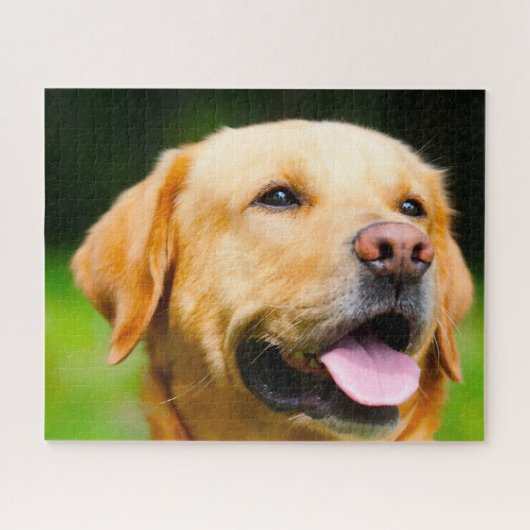 Labrador Dog. Legpuzzel (Horizontaal)