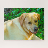 Labrador Dog. Legpuzzel (Horizontaal)