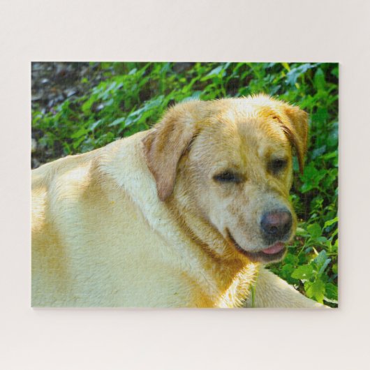Labrador Dog. Legpuzzel (Horizontaal)