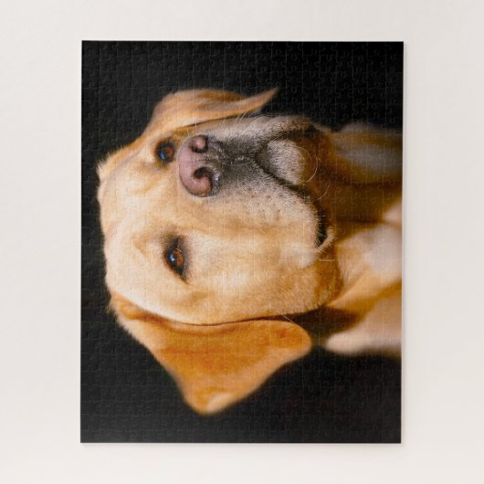 Labrador Dog. Legpuzzel (Verticaal)