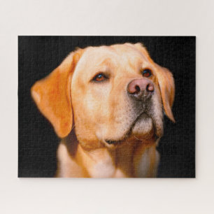 Labrador Dog. Legpuzzel