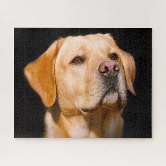 Labrador Dog. Legpuzzel (Horizontaal)
