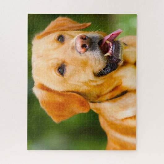 Labrador Dog. Legpuzzel (Verticaal)